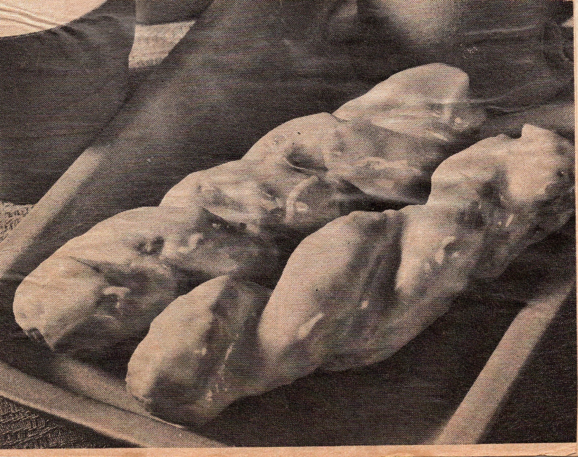 Gingerbread Donuts recipe card, image 2 of 2